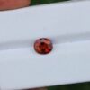 IMG_2828-scaled-1.jpg