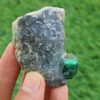 MSPM-Emerald-11-M-DWR1-PNF-1-scaled-1.jpg