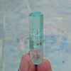 MSSP-Aquamarine-38-M-DWR1-3.jpg