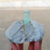 MSSP-Aquamarine-74-M-DWR2-7-scaled-1.jpg