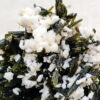 MSSP-Epidot-102-M-DWR2-6.jpg