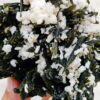MSSP-Epidot-102-M-DWR2-7.jpg