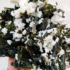 MSSP-Epidot-102-M-DWR2-8.jpg