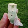 MSSP-Green-Beryl-81-M-DWR2-11-scaled-1.jpg