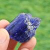 MSSP-Tanzanite-1-M-DWR1-2-scaled-1.jpg