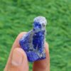 MSSP-Tanzanite-2-M-DWR1-1-scaled-1.jpg