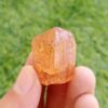 MSSP-Topaz-12-M-DWR1-1-scaled-1.jpg