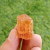 MSSP-Topaz-12-M-DWR1-3-scaled-1.jpg
