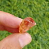 MSSP-Topaz-14-M-DWR1-9.jpg