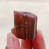 MSSP-Tourmaline-24-M-DWR1-1.jpg