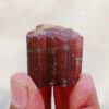 MSSP-Tourmaline-24-M-DWR1-2.jpg