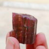 MSSP-Tourmaline-24-M-DWR1-5.jpg