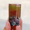 MSSP-Tourmaline-25-M-DWR1-2-scaled-1.jpg