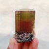 MSSP-Tourmaline-25-M-DWR1-3.jpg