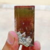 MSSP-Tourmaline-25-M-DWR1-4.jpg