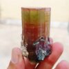 MSSP-Tourmaline-25-M-DWR1-7-scaled-1.jpg