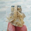 MSSP-Tourmaline-29-M-DWR1-3.jpg