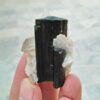 MSSP-Tourmaline-29-M-DWR1-5.jpg