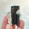 MSSP-Tourmaline-29-M-DWR1-6.jpg
