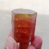MSSP-Tourmaline-87-M-DWR2-1-scaled-1.jpg