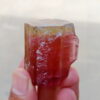 MSSP-Tourmaline-87-M-DWR2-3.jpg