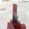 MSSP-Tourmaline-90-M-DWR2-5.jpg