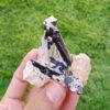 MSSP-Tourmaline-97-M-DWR2-11.jpg