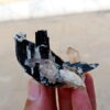 MSSP-Tourmaline-97-M-DWR2-4.jpg